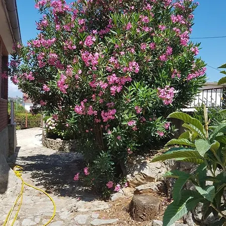 Vesna Avsec - Appartement *