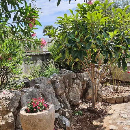 Vesna Avsec - Appartement Krk Town