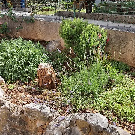 Vesna Avsec - * Krk Town