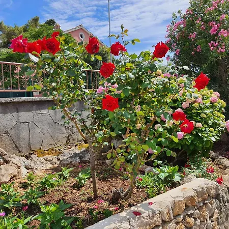 Appartement Vesna Avsec - *