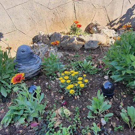 Vesna Avsec - * Krk Town