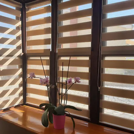 Vesna Avsec - Apartment