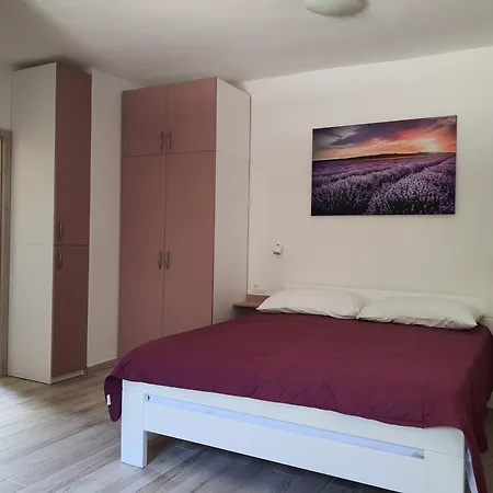 Vesna Avsec - Daire *