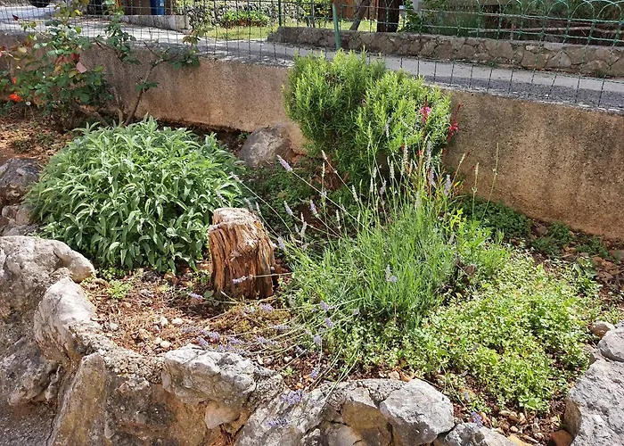 Vesna Avsec - * Krk Town