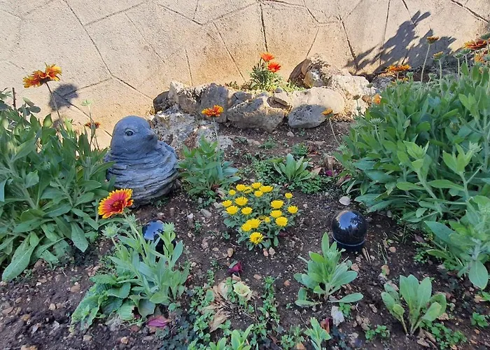 Vesna Avsec - * Krk Town