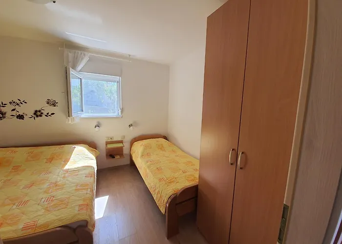 Vesna Avsec -