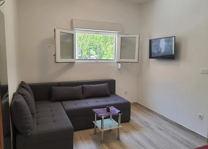 Vesna Avsec -