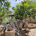 Vesna Avsec - Apartamento Krk Town