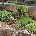 Vesna Avsec - * Krk Town
