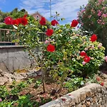 Apartamento Vesna Avsec - *