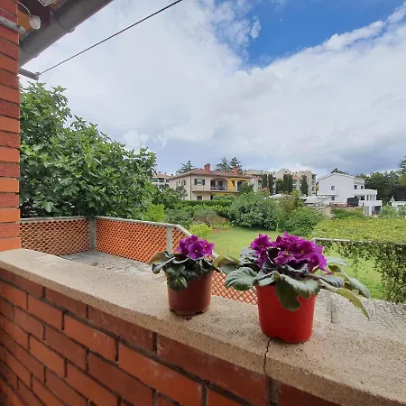 Vesna Avsec -