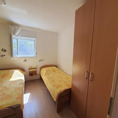 Vesna Avsec -